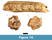 s figure 14