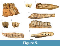 s figure 5