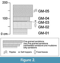 s figure 2