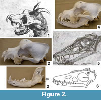 s figure 2