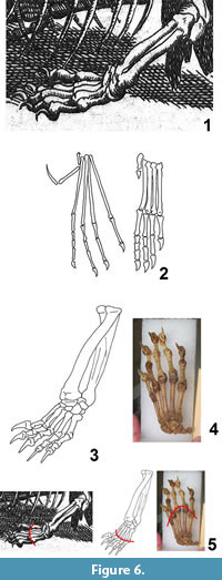 s figure 6