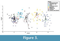 sfigure 3