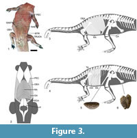 s figure3