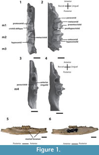 s figure1