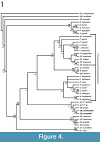 s figure4 a