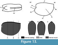 s figure 13