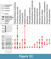 s figure 32