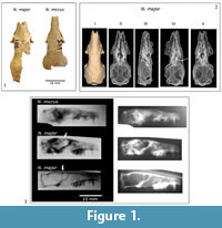 s figure1