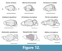 s figure12