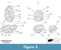 s figure3