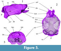 s figure5