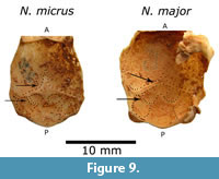 s figure9