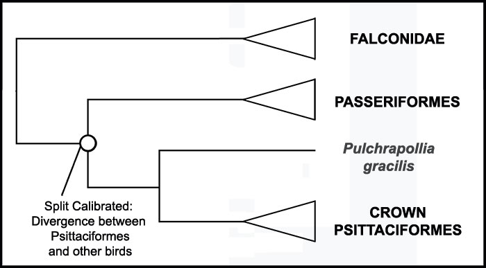 figure11