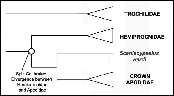 figure7