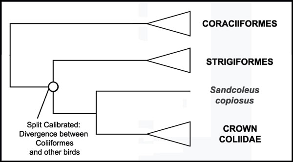 figure9