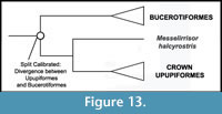 s figure13