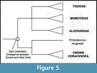 s figure5