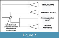 s figure7