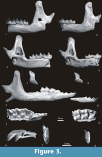 s fig3