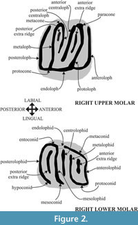 s figure 2