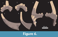 s figure6