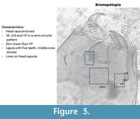 s figure05