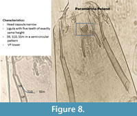 s figure08