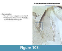 s figure103