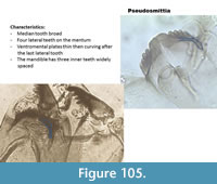 s figure105