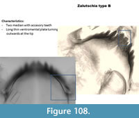 s figure108