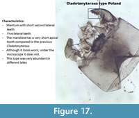 s figure17