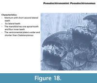 s figure18