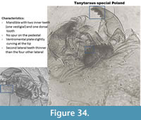 s figure34