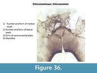 s figure36