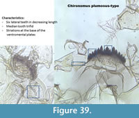 s figure39