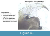 s figure40