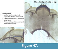 s figure47