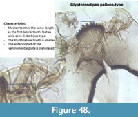 s figure48