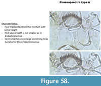 s figure58