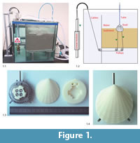 sfigure1