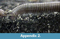 s appendix2