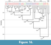 s figure 16