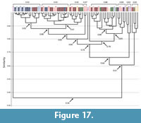 s figure 17