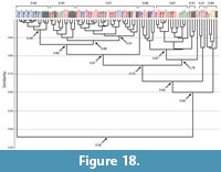 s figure 18