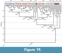 s figure 19