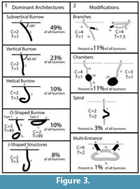 s figure 3