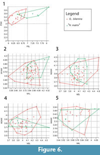 s figure 06