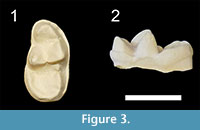 s figure 3