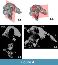 s figure 4