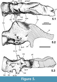 s figure 5